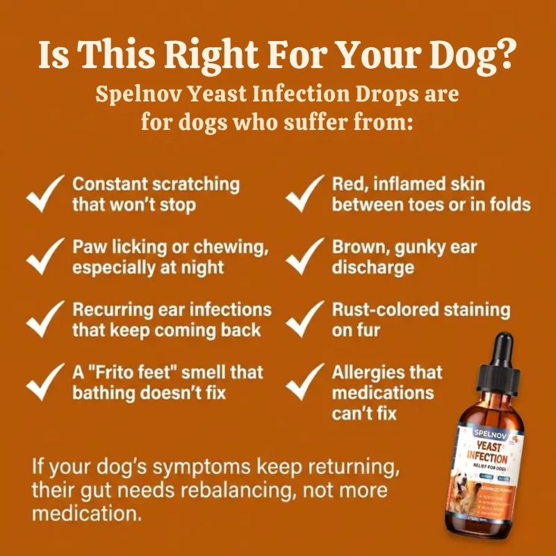 Yeast Infection Drops™